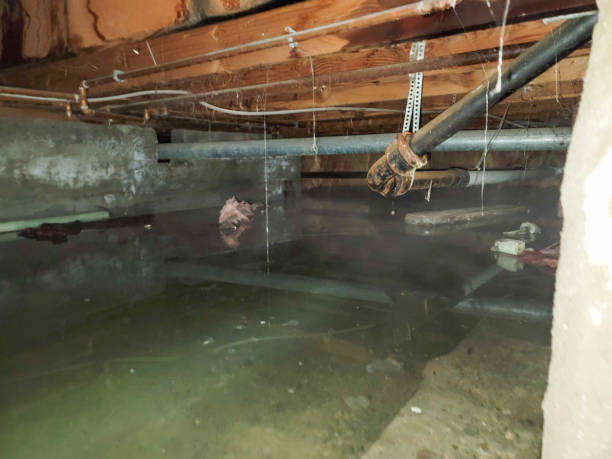 Best Water damage contractors near me  in Saxapahaw, NC