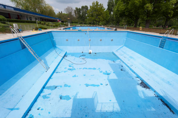 Best Local water damage restoration  in Saxapahaw, NC
