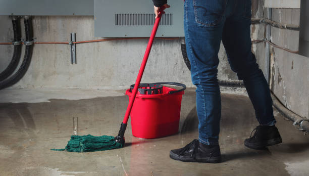 Best Water damage restoration near me  in Saxapahaw, NC