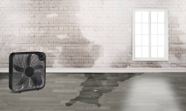 Best Sewage cleanup and water damage restoration  in Saxapahaw, NC